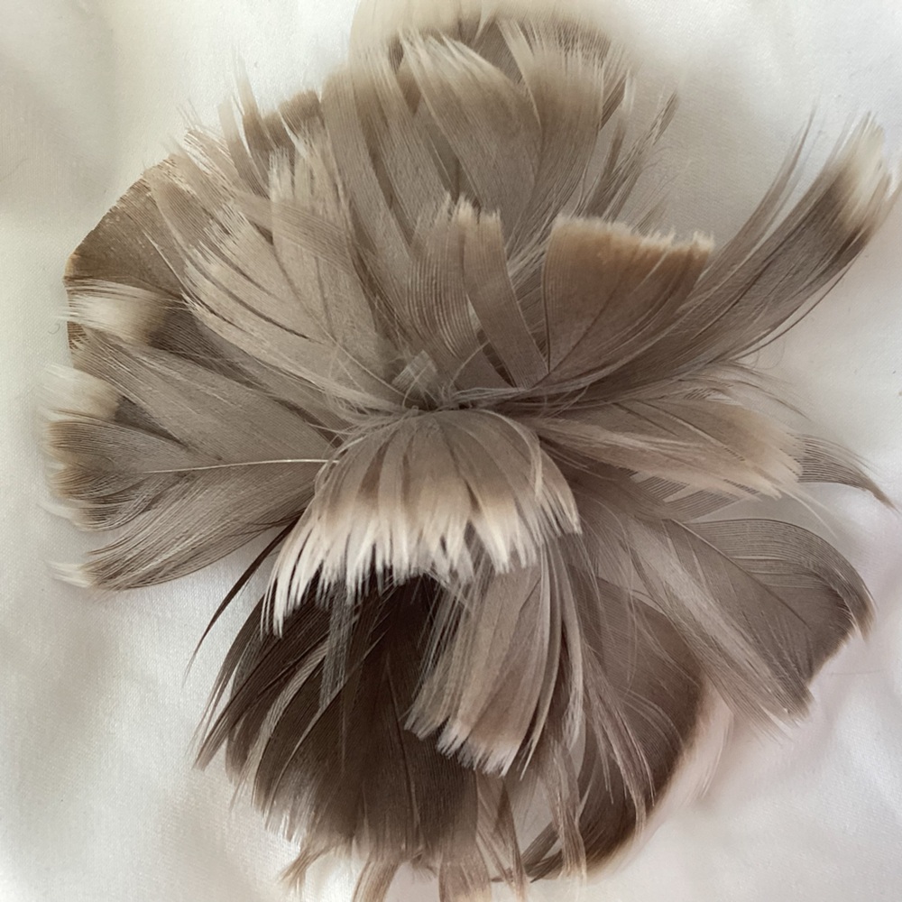 Petite Grayish brown Feather Fascinator Hair Clip, brooch pin. Hat clip